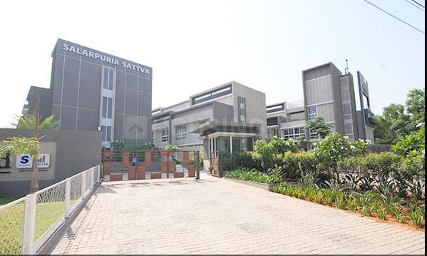 Sattva Necklace Pride