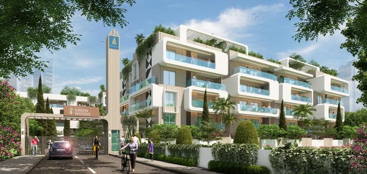 Infinity Green Woods