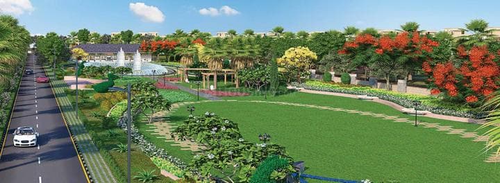 Central Park Flower Valley